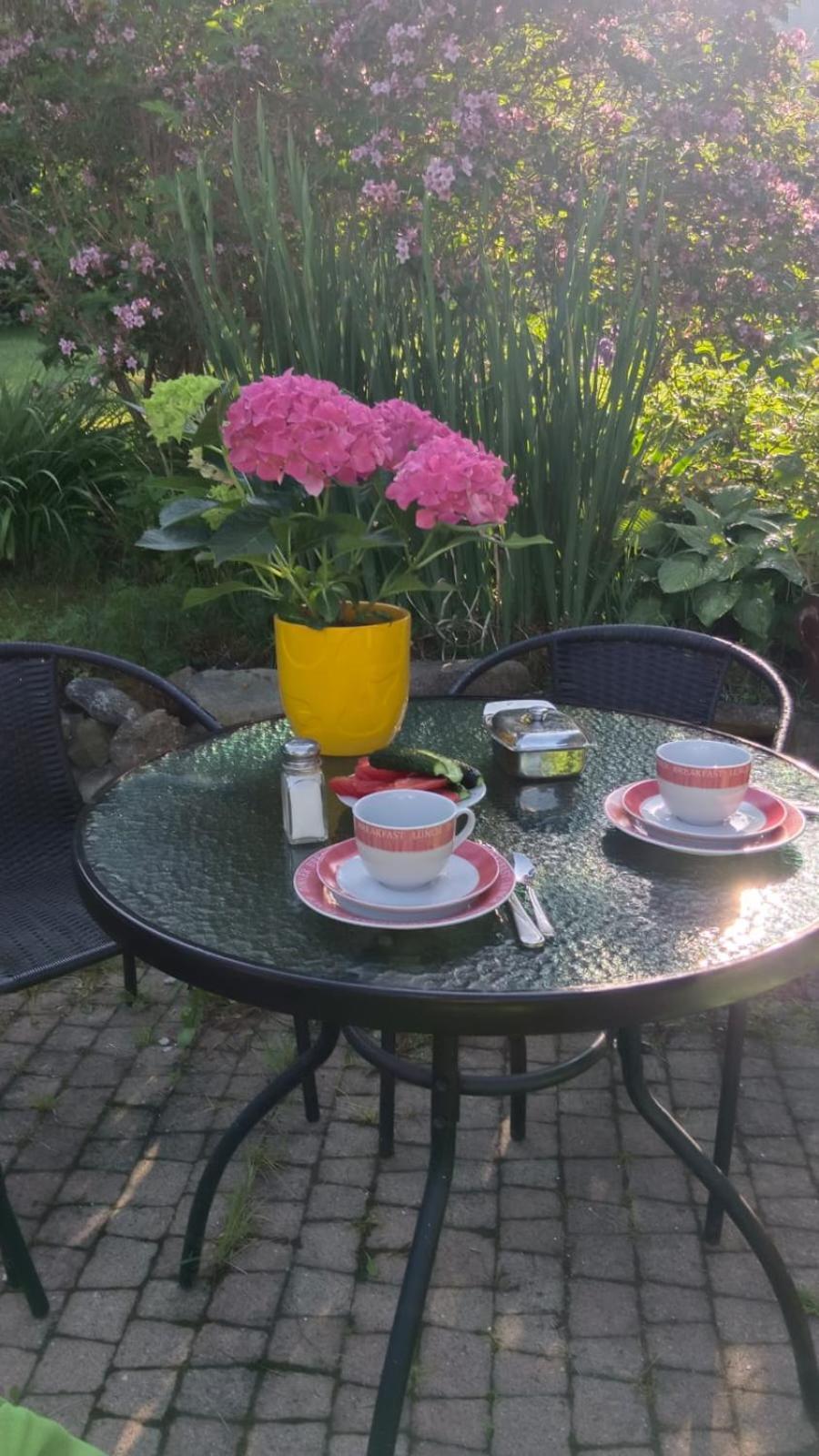 Apartamenty Grapa Szum Rzeki Parking Free 비스와 외부 사진