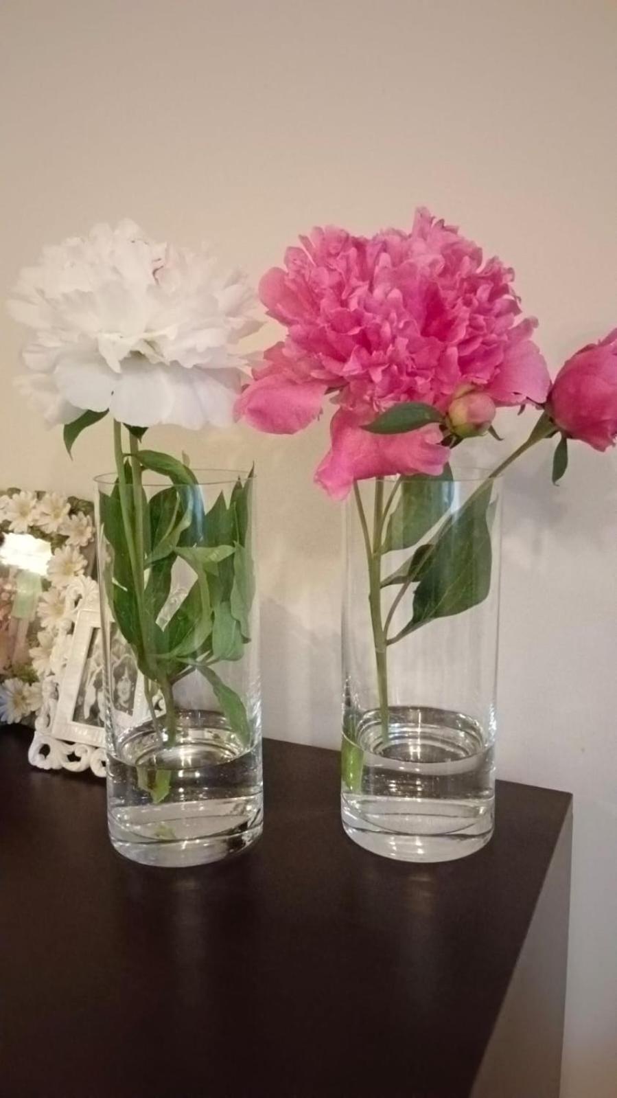 Apartamenty Grapa Szum Rzeki Parking Free 비스와 외부 사진