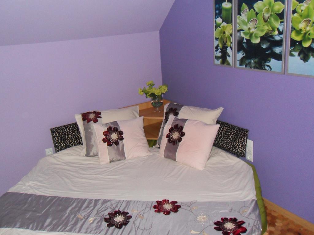 Apartamenty Grapa Szum Rzeki Parking Free 비스와 객실 사진