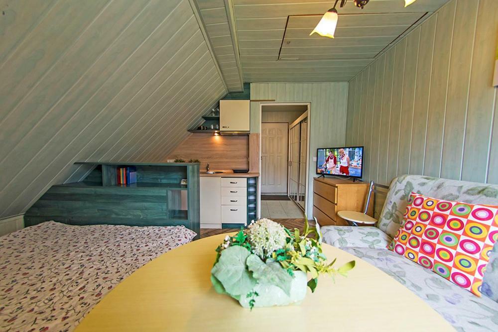 Apartamenty Grapa Szum Rzeki Parking Free 비스와 외부 사진