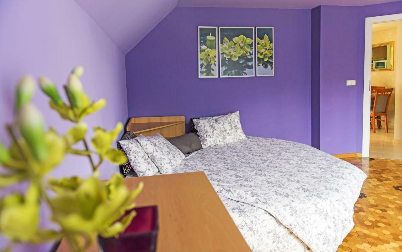 Apartamenty Grapa Szum Rzeki Parking Free 비스와 외부 사진